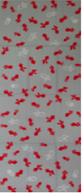 11.金魚<グレー>