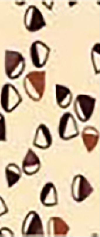 107.くり<ベージュ>