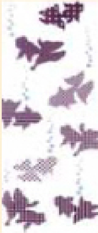 23.文様金魚<紫>