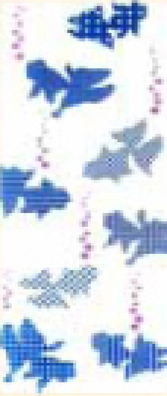 23.文様金魚<ブルー>