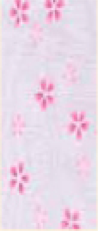 9.さくら<グレー>