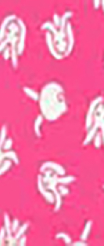 10.うさぎ<ピンク>